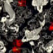 Koi Fish fabric overlay swatch for a custom Kydex holster from Neptune Concealment